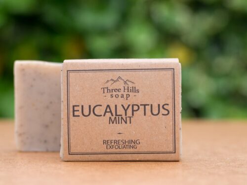 Eucalyptus Mint soap bar with rustic label on light surface and green outdoor background