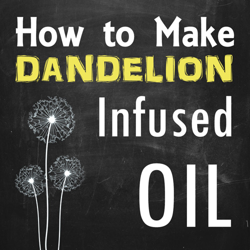 DIY how to make dandelion infused oil