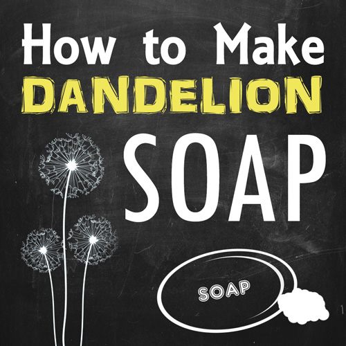 How to make dandelion soap