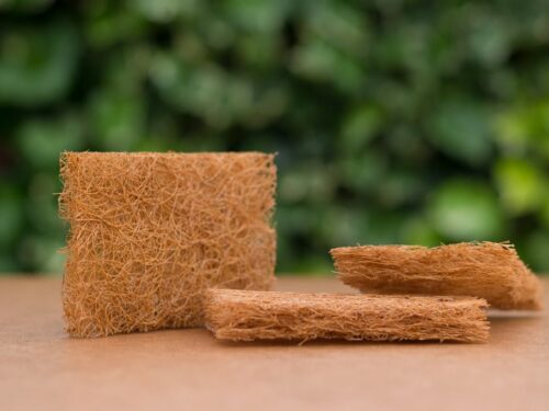 coconut hair soap dish on light surface and green outdoor background