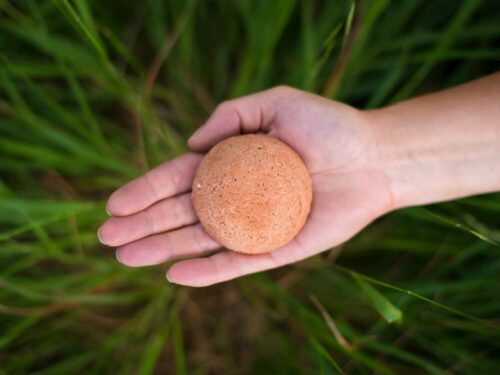 Hand holding Anti-Dandruff Solid Shampoo bar with a green background