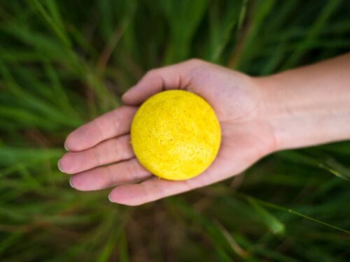 Hand holding a Solid Shampoo bar for All Hair Types bar with a green background