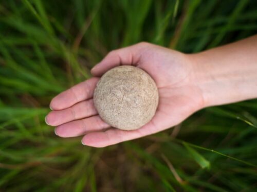 Hand holding Solid Shampoo bar for Normal Hair with a green background