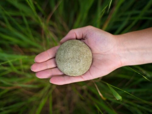 Hand holding Solid Shampoo bar for Oily Hair with a green background