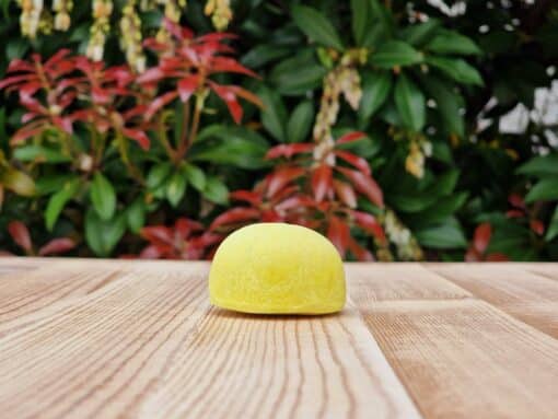 Travel Shampoo Bar for All Hair Types placed on the wooden surface with a green background