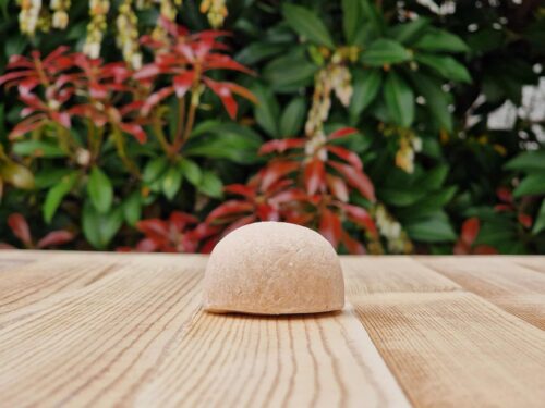 Travel Shampoo Bar for Dandruff placed on the wooden surface with a green background