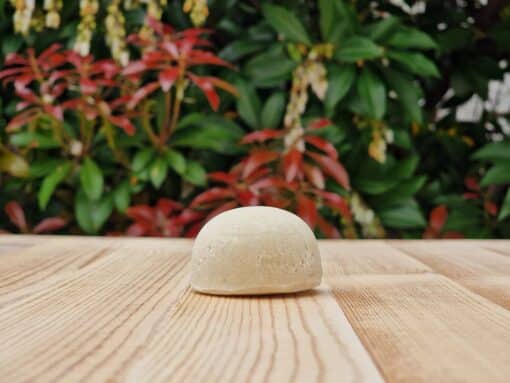 Travel Shampoo Bar for Hair Growth placed on the wooden surface with a green background