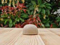 Travel Shampoo Bar for All Hair Types placed on the wooden surface with a green background