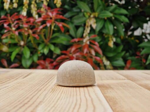 Travel Shampoo Bar for All Hair Types placed on the wooden surface with a green background