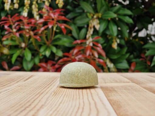 Travel Shampoo Bar for oily hair placed on the wooden surface with green background