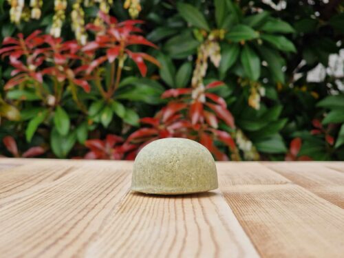 Travel Shampoo Bar for oily hair placed on the wooden surface with green background