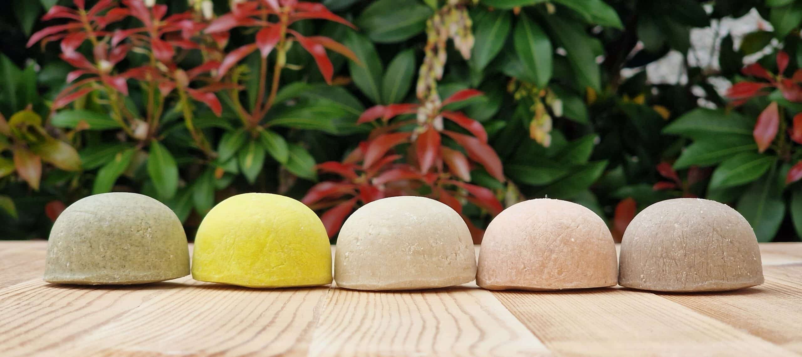 set of the five travel shampoo bars with a green background